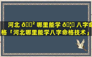 河北 🌲 哪里能学 🦆 八字命格「河北哪里能学八字命格技术」